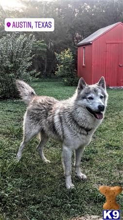 Montana Bo Picture 3